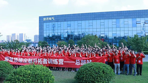 楚楚吊顶排名第几？艺术顶墙开创者 行业排名前十