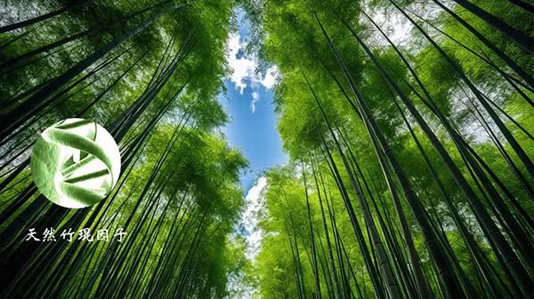 顶墙门柜一体化开创者 | 楚楚顶墙蝶变升级：打造更完美的体